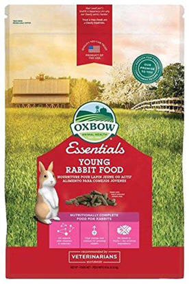 Picture of OXBOW ESSENTIALS YOUNG RABBIT