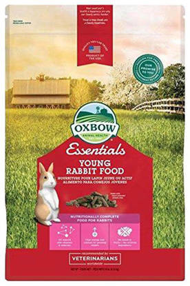 Picture of OXBOW ESSENTIALS YOUNG RABBIT