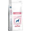 Picture of RCVCN JUNIOR DOG DRY          