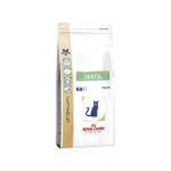Picture of Royal Canin Cat Dental S/O 3kg